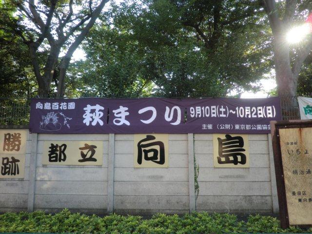 萩まつり